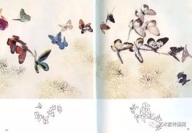 画蝶三剑客的工笔蝴蝶欣赏