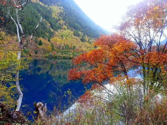 那一片蓝,迷了眼,醉了心图片707,四川省旅游景点,风景名胜 - 蚂蜂窝