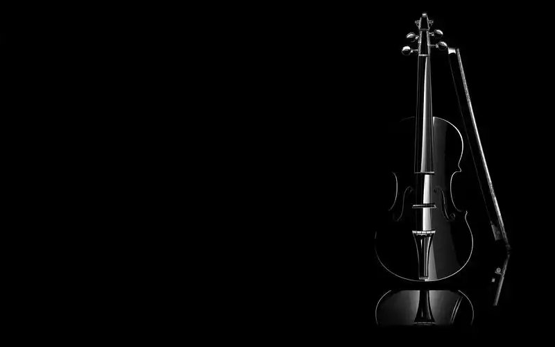 小提琴黑色高清壁纸,高清图片,壁纸-桌面城市
