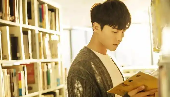 2019韩剧偶像剧排行榜有线台历代收视率阳光先生第一天空之城一路2