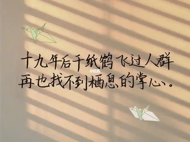 "十九年后千纸鹤飞过人群