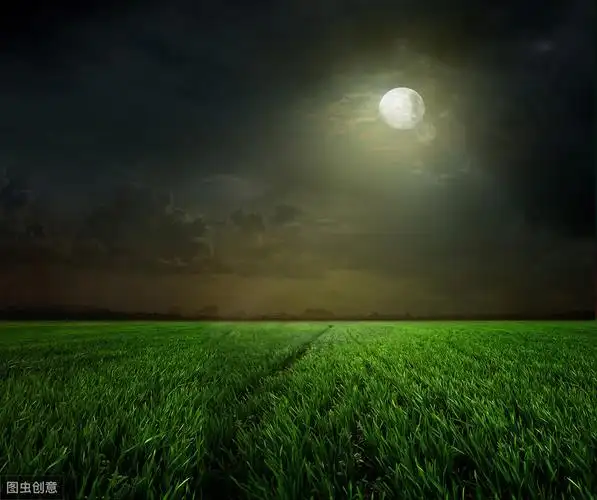 月亮的脚步,在高高的夜空中,悄无声息地挪移着,清风吹过,吹乱了母亲的