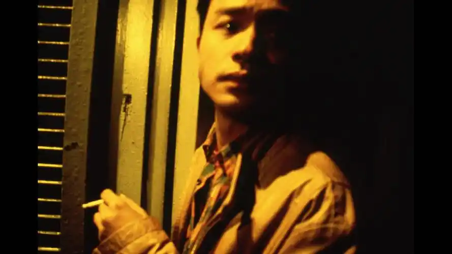 p>《春光乍泄》是由 a href="#" data-lemmaid="373607">王家卫 /a>