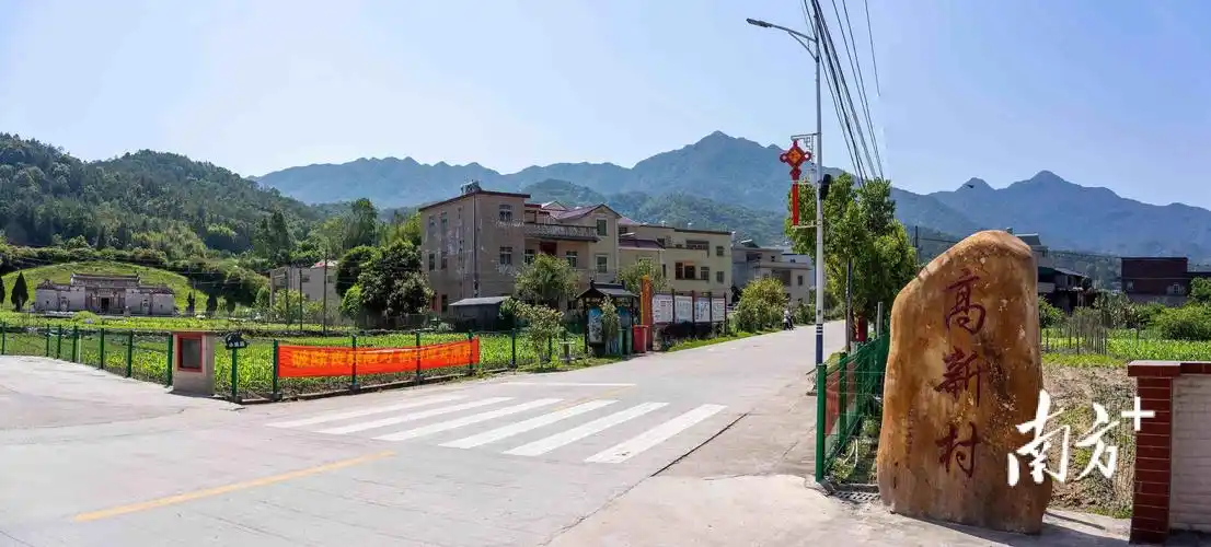 河源紫金县南岭镇强基础美环境树产业乡村振兴展新颜