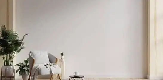 女作家变身保姆故事开篇624