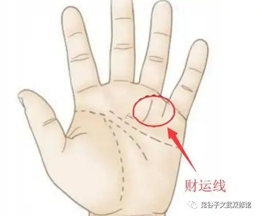 手相有什么特征的人能发横财手掌中太阴丘出现直觉线这种手纹的人偏