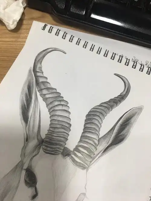 素描练习(跳羚)