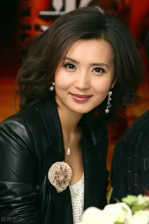 陈好20张精美的照片