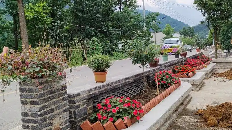 农村"五治"丨修文县小箐镇小小花池点亮乡村幸福新生活|花池|修文县|