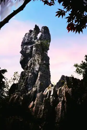 天下奇观〃千年一吻"