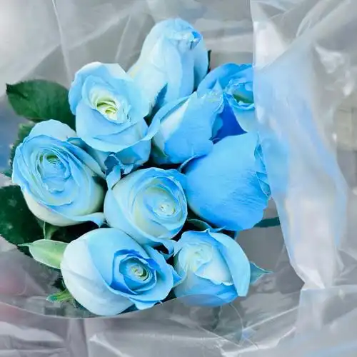 蓝色花花真的超级治愈