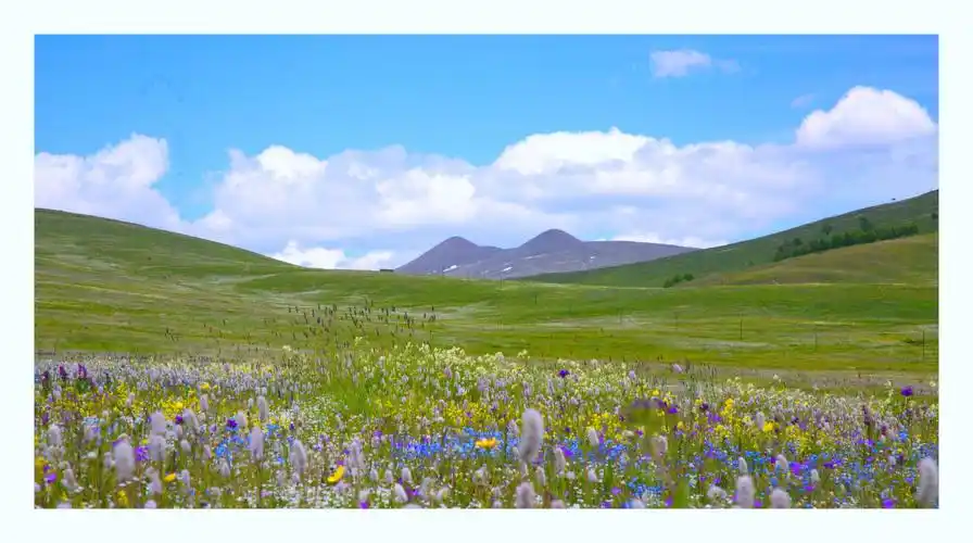 最美的高山草原---辉腾阿恰