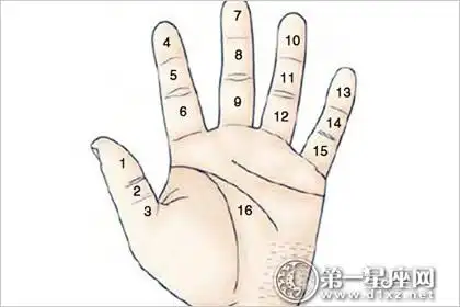 手上长痣图解一如图1:痣在1:拇指第一节有痣者,多有父荫,有商事的能力