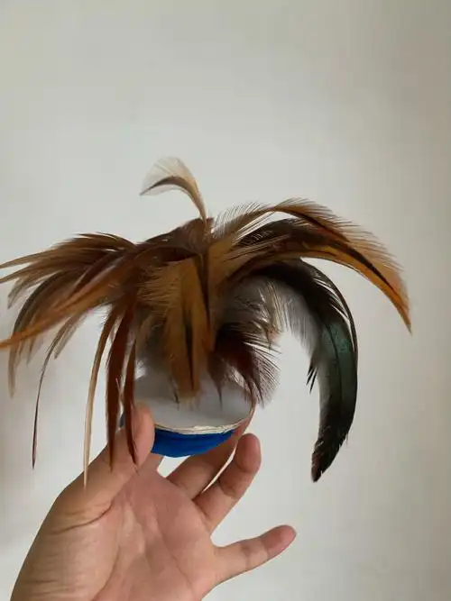 小时候的记忆之真正的鸡毛毽子