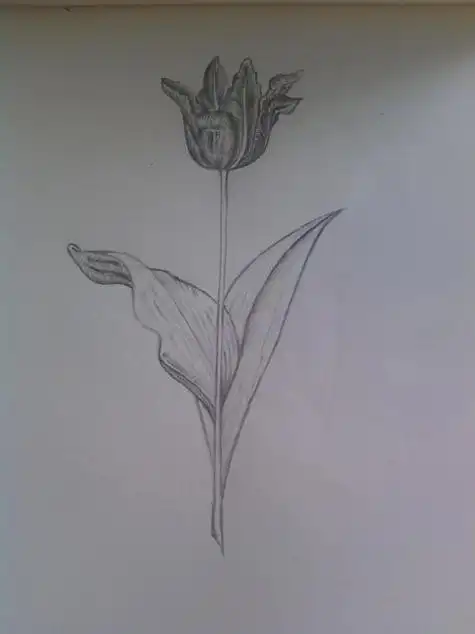 铅笔画羡慕!竟然用素描画的这么美初中画的素描