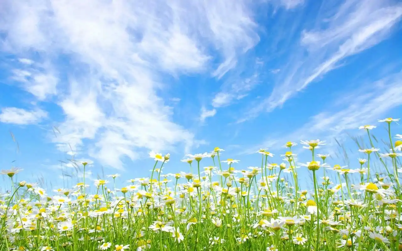 清新护眼唯美自然风景图片壁纸