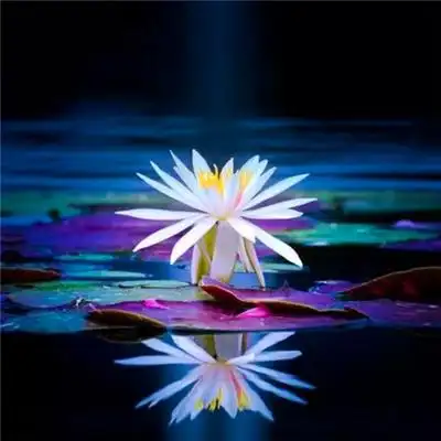 100张最好看的风景头像 高清漂亮又好看的美景头像图片_风景头像_头像