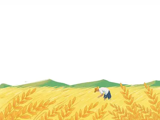 黄色卡通稻田麦田麦穗农民秋天秋收png素材元素