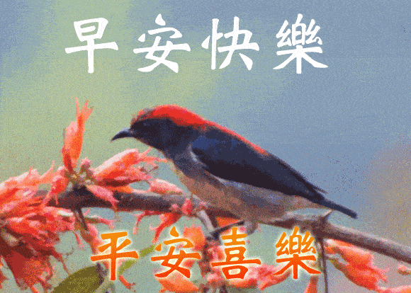 星期五最新漂亮早上好祝福问候语图片腊月暖心的早上好动态表情图片