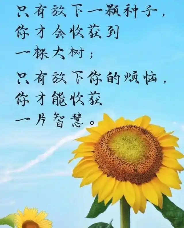 感悟人生哲理句子图片手写很现实的人生感悟说说