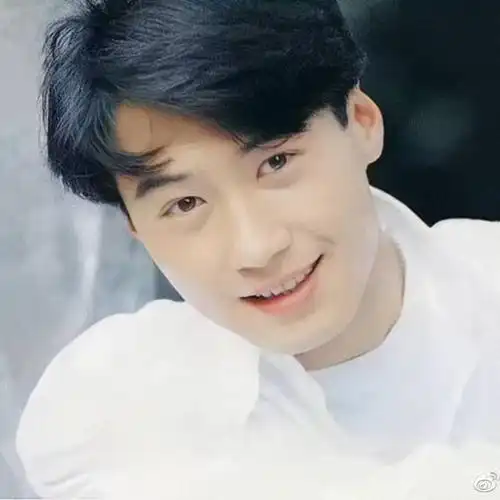 淡颜系yyds(leon黎明99张照片剪辑)