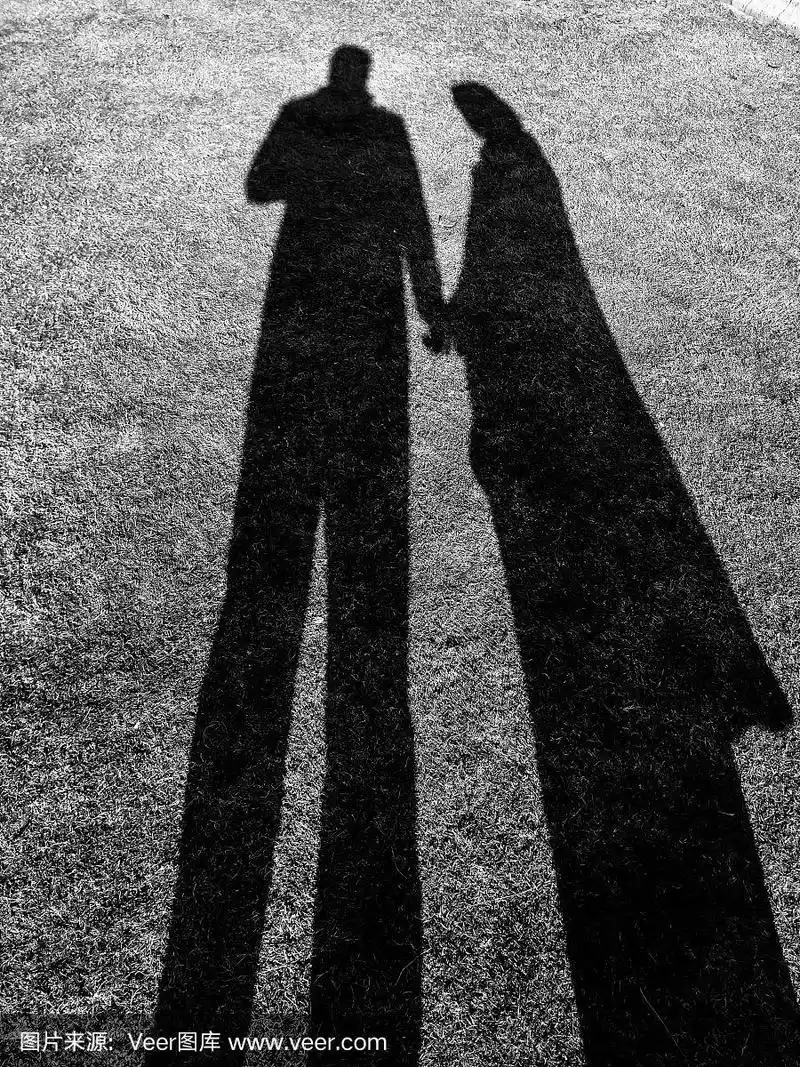 一个男人和一个女人在花园里牵手的影子.