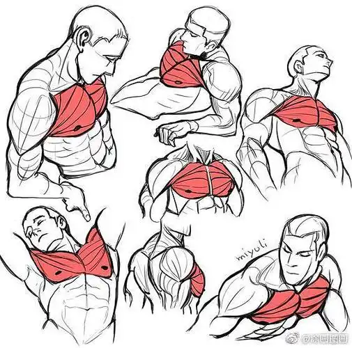 留光画影从关orzzz转采于2021-10-27 10:35:20男性肌肉人体留光画影该