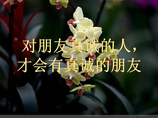 【转载】对朋友真诚的人,才会有真诚的朋友