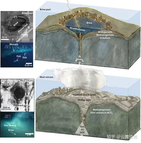 深海里的盐卤池是如何形成的