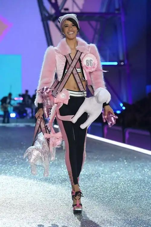 纸巾准备好!2016 维多利亚的秘密秀场美图大赏