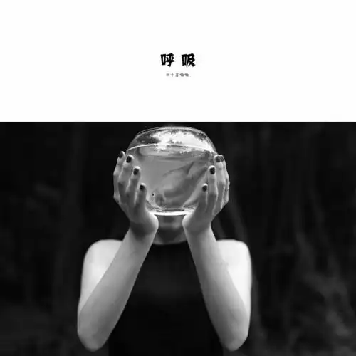 深呼吸透透气,等会游回深海里.生活有太多的无奈,我们渴望自由与健康.