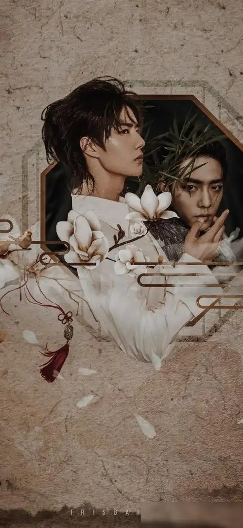 博君一肖壁纸你是温柔的风散落的星辰世间的美好皆是你的化身