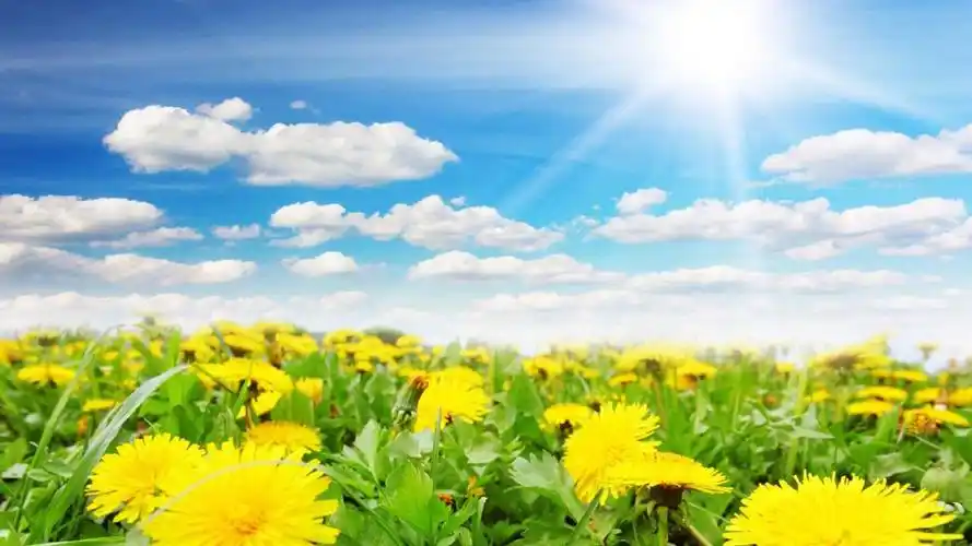 超清唯美自然风光图片电脑壁纸 (1/ 9) 2018-07-12 20:07:46 壁纸尺寸