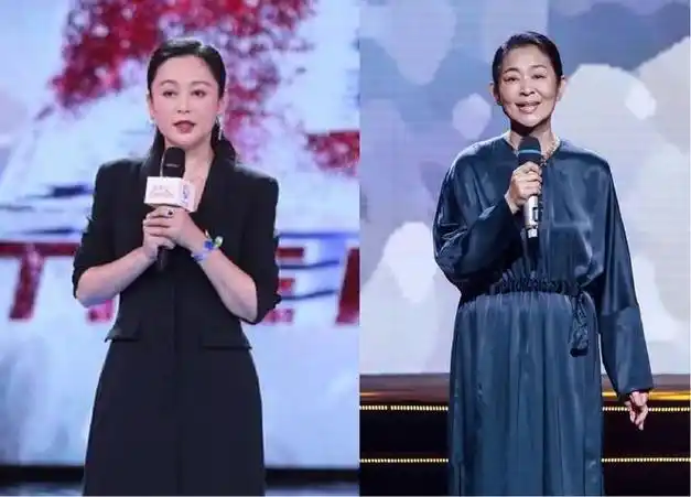 倪萍和陈红同穿裙装一个优雅高级似贵妇一个脸部坍塌像大妈