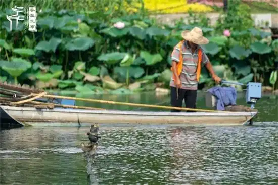 月牙湖:解锁"碧水长流"的生态密码