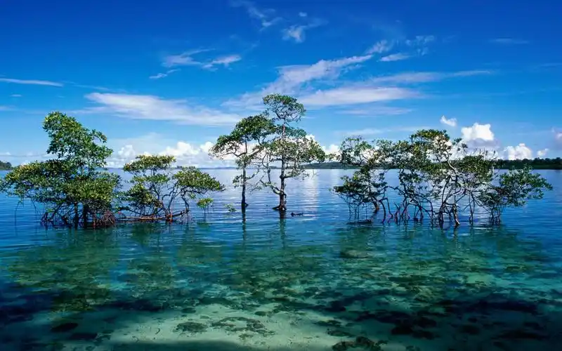 安达曼尼科巴壁纸2560x1600分辨率查看