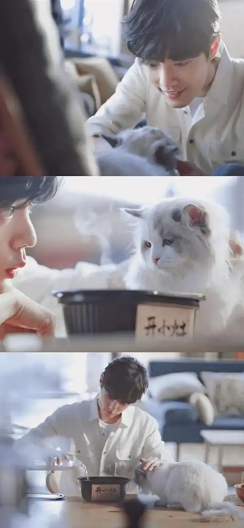 肖战三格拼接高清手机壁纸