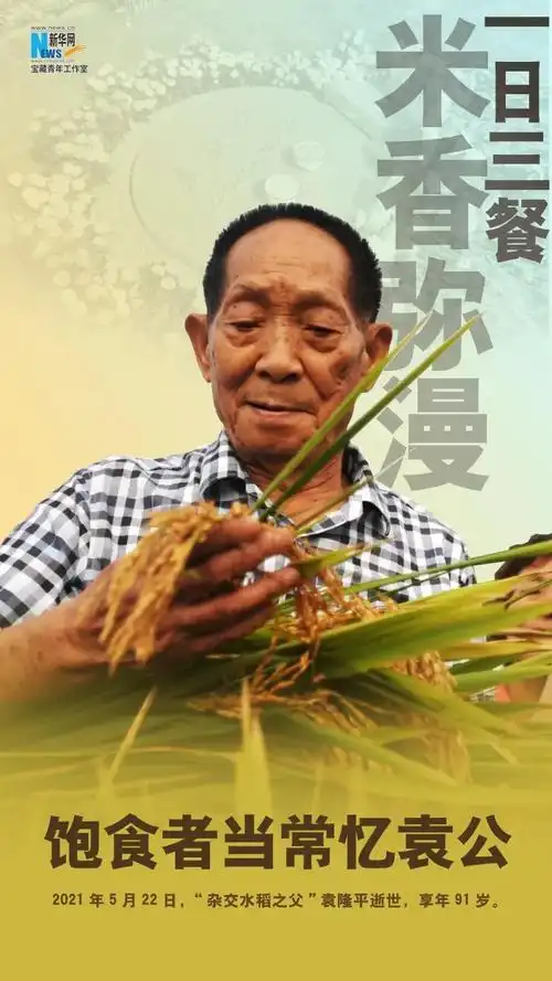 今天,格外想念……|袁隆平_新浪财经_新浪网