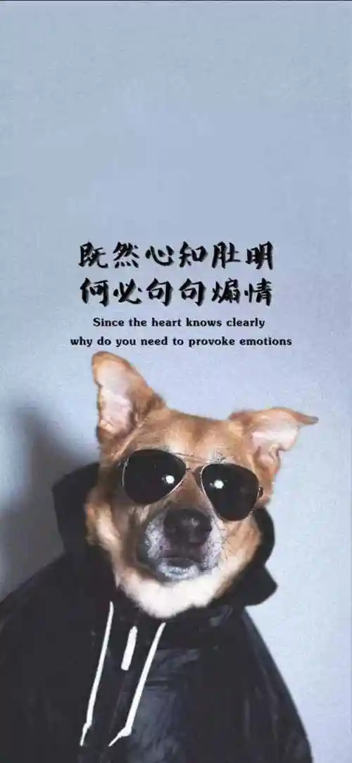 手机桌面主题图片带字免费桌面主题壁纸