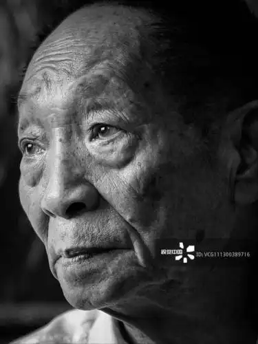 悼念袁隆平专辑(续三)