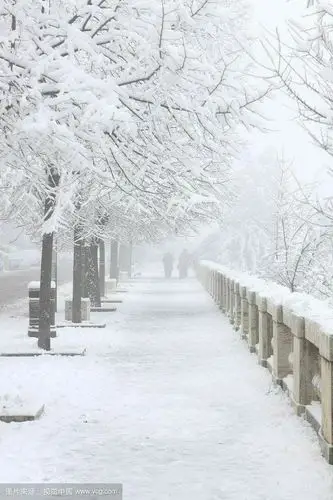 到处都是白茫茫的,天地的浑然一体,都穿上银色的盛装!