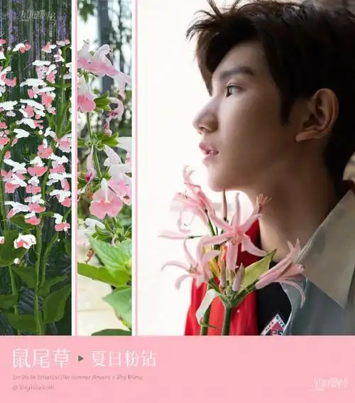 王源庆祝夏野了发行一周年##王源专辑夏野了一周年##王源说夏天右野