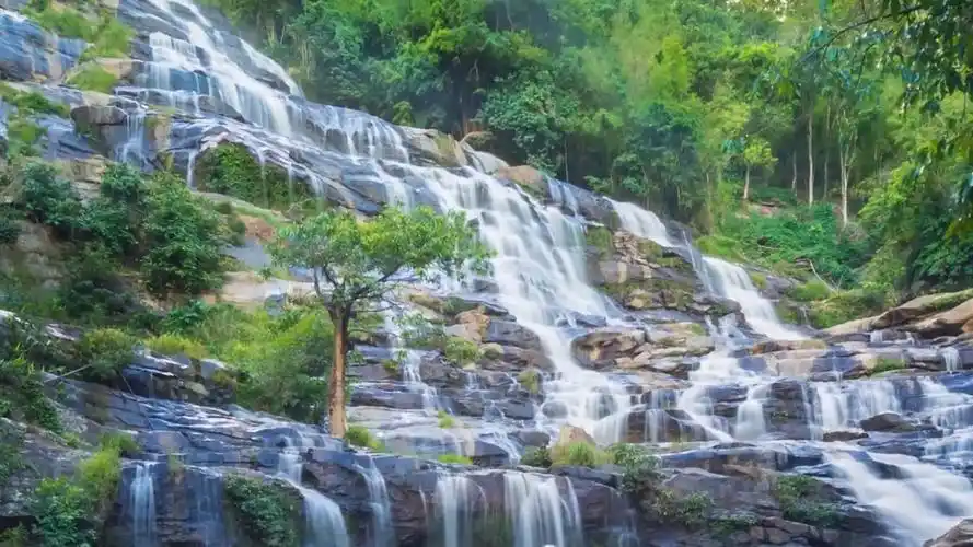 真实大自然的美景