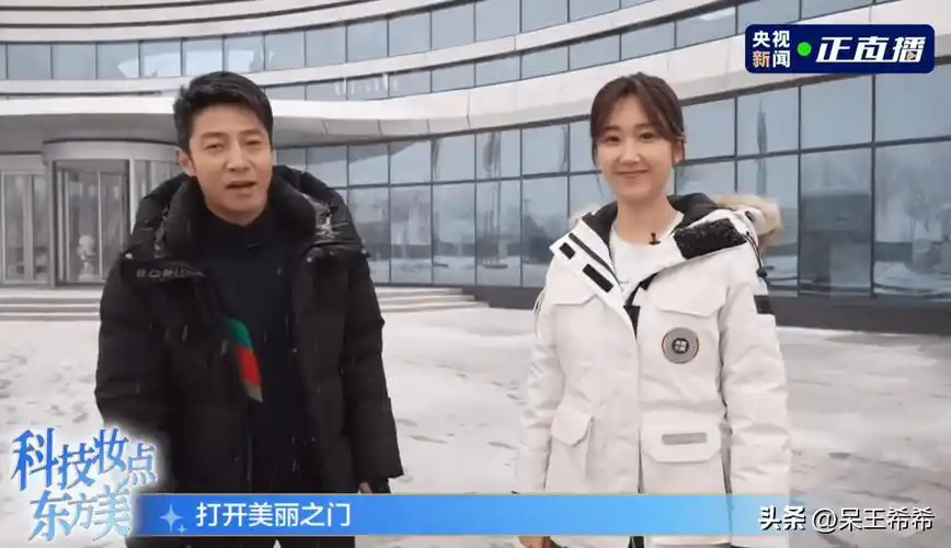 央视主持搭档"老带新"趋势明显,阵容调整进入倒计时_王嘉宁_合作_节目