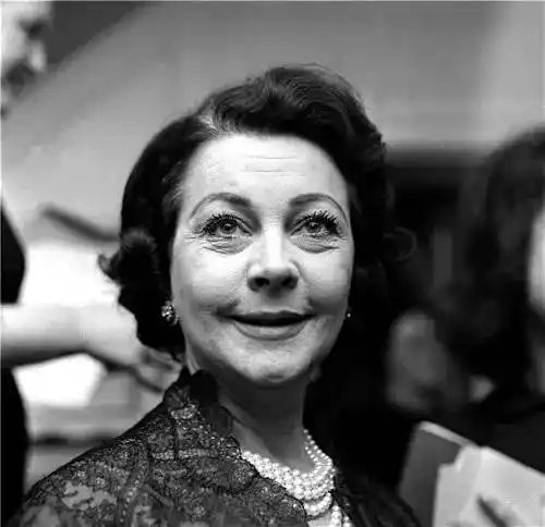 费雯丽盛世美颜也留不住一生至爱