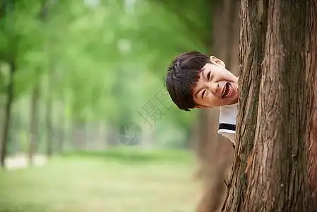 小朋友躲猫猫图片