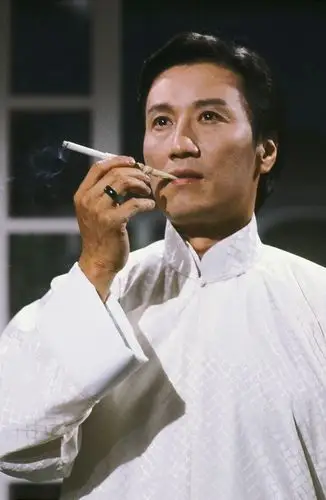 《神雕侠侣》,电视剧《万水千山总是情》《射雕英雄传》《天龙八部》