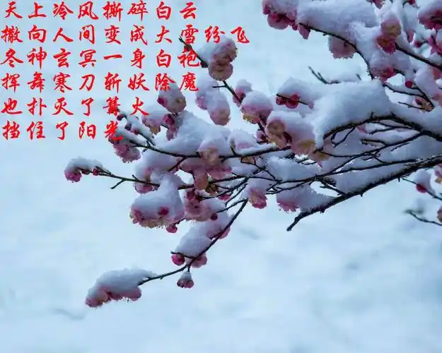 寒梅赞祖国的梅中华的魂文周延锋