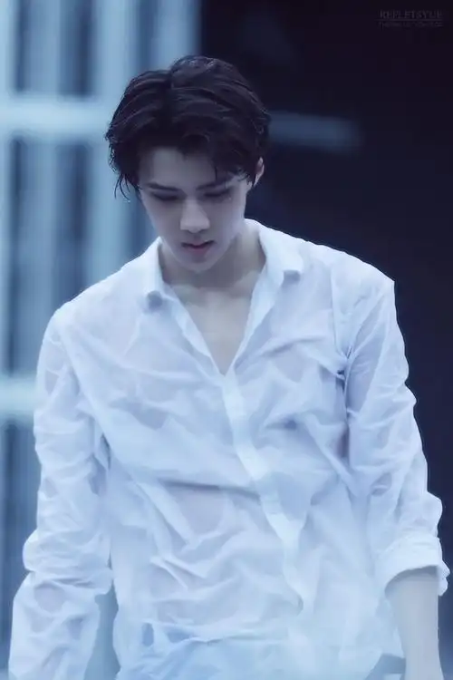 求这张世勋的高清大图(>д )