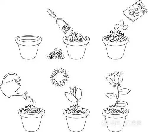 着色页.有关如何在六简单的步骤种植花卉的说明.逐步